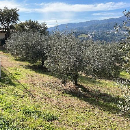 Agriturismo Vigna De' Luceri Loceri ภายนอก รูปภาพ